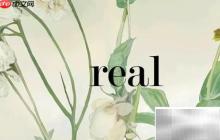 real的副詞形式是什么