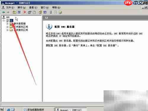 Win2003安装DNS图文教程