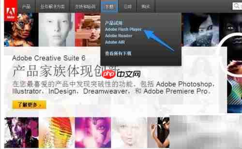 如何安装Adobe Flash Player