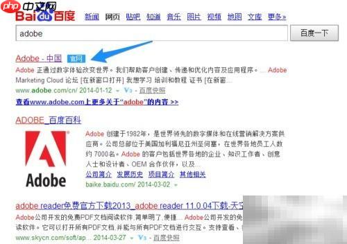 如何安装Adobe Flash Player