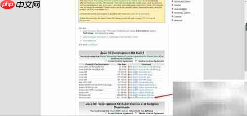 Java 64位下载指南