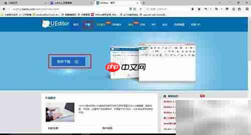 UEditor配置使用指南
