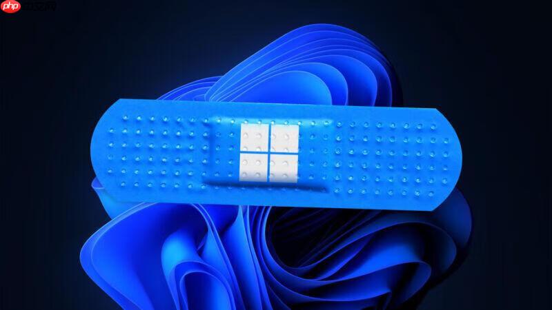 Windows 11更新问题和用户期望:错误代码和SSD速度下降