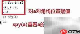 MATLAB稀疏矩阵创建与可视化