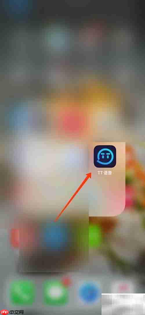 TT语音红钻使用方法