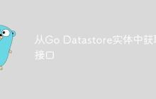 从Go Datastore实体中获取接口
