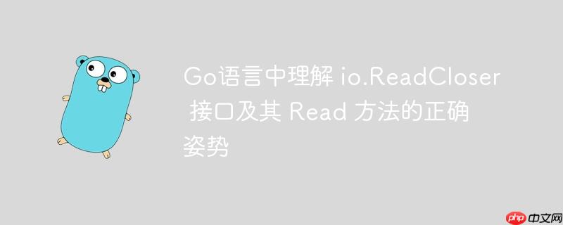 Go语言中理解 io.ReadCloser 接口及其 Read 方法的正确姿势