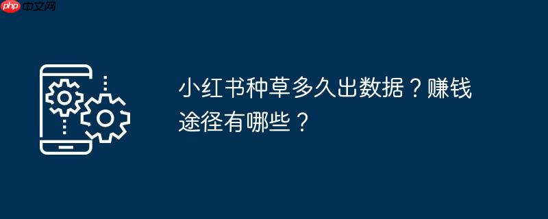 小红书种草多久出数据?赚钱途径有哪些?