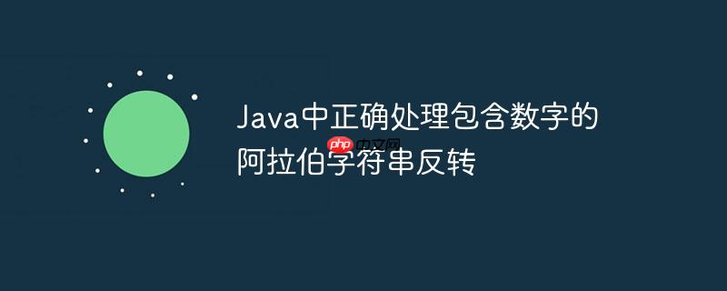 java中正确处理包含数字的阿拉伯字符串反转