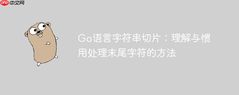 Go语言字符串切片：理解与惯用处理末尾字符的方法
