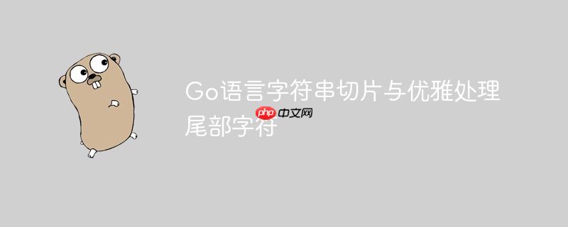 Go语言字符串切片与优雅处理尾部字符
