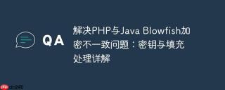 解决PHP与Java Blowfish加密不一致问题：密钥与填充处理详解