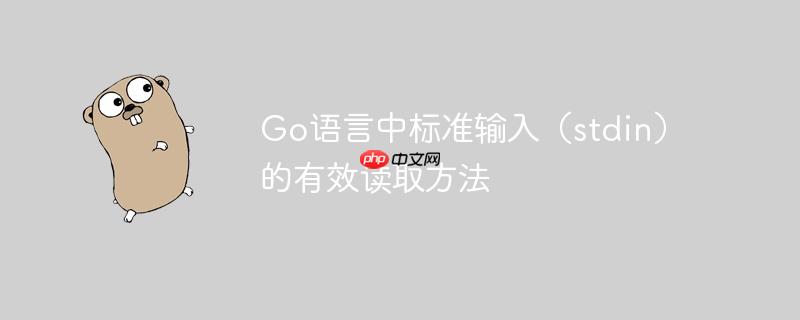 Go语言中标准输入（stdin）的有效读取方法
