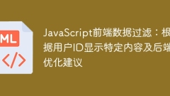 Filtrage de données frontal JavaScript: afficher des suggestions de contenu spécifique et d'optimisation back-end basée sur l'ID utilisateur