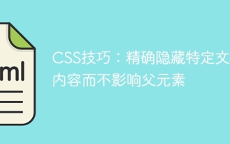 CSS 팁 : 부모 요소에 영향을주지 않고 정확하게 특정 텍스트 내용을 숨기십시오.