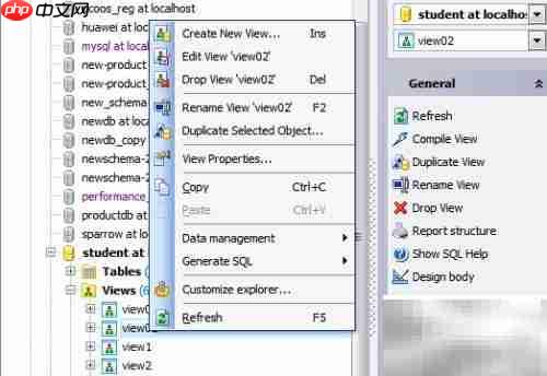 Maestro复制数据库视图指南