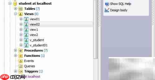 Maestro复制数据库视图指南