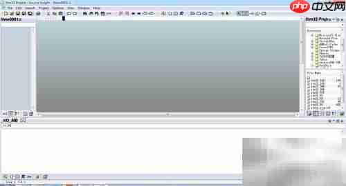 Source Insight字体大小设置