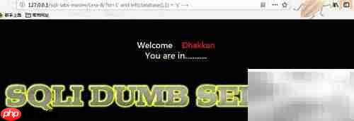 Burp Suite盲注技巧