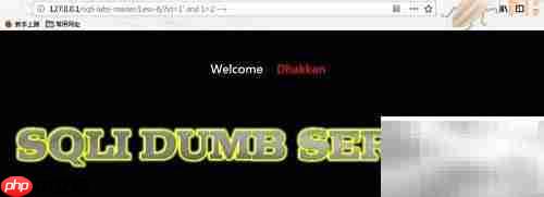 Burp Suite盲注技巧