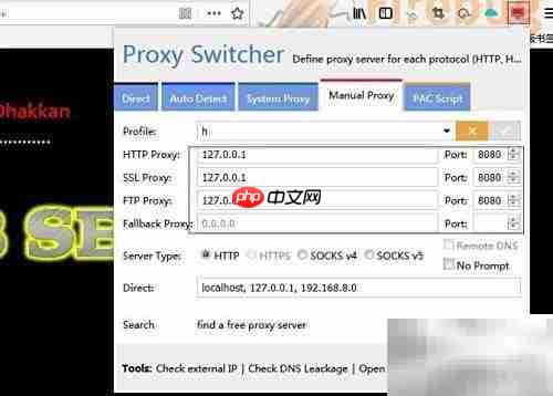 Burp Suite盲注技巧