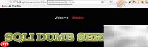 Burp Suite盲注技巧