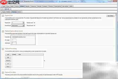 Burp Suite盲注技巧