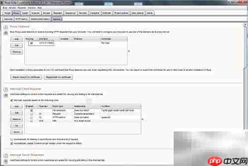 Burp Suite盲注技巧