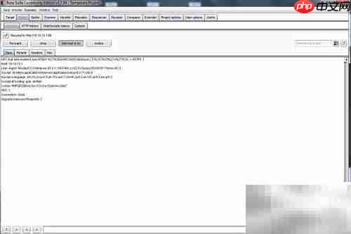 Burp Suite盲注技巧