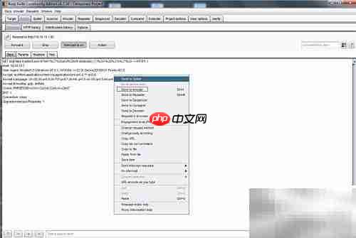 Burp Suite盲注技巧