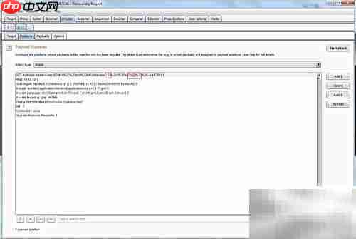 Burp Suite盲注技巧