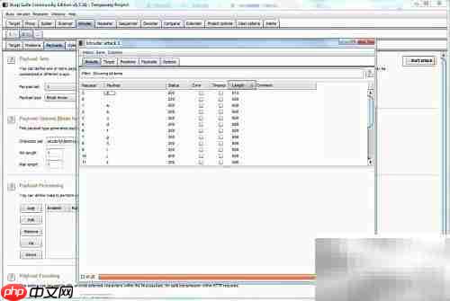 Burp Suite盲注技巧