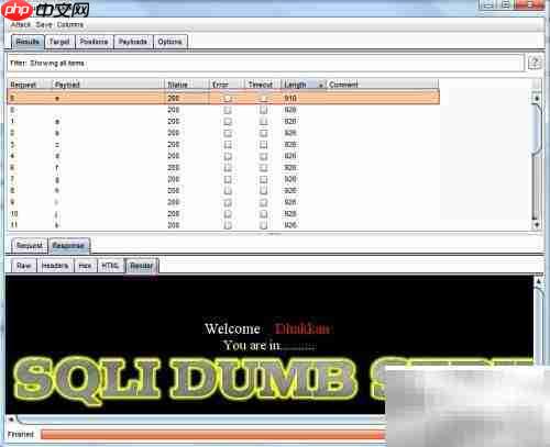 Burp Suite盲注技巧