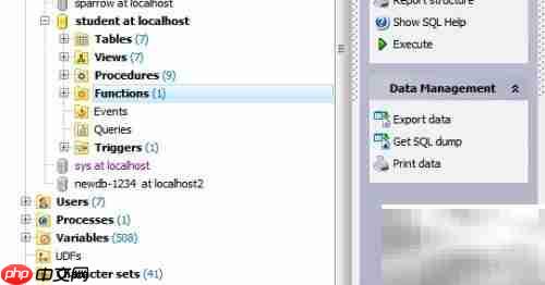 Maestro复制函数参数技巧
