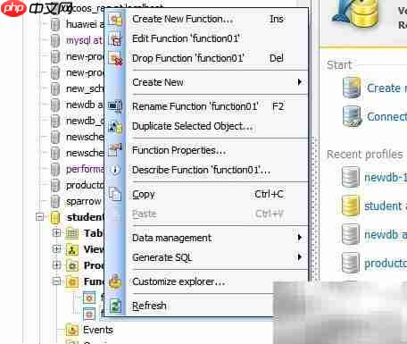 Maestro复制函数参数技巧