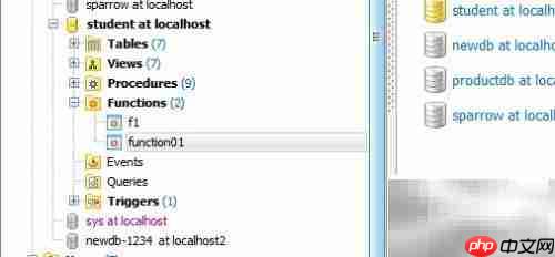 Maestro复制函数参数技巧