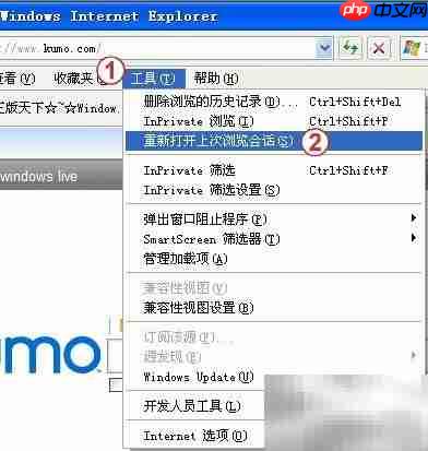IE8恢复上次浏览网页