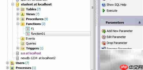 Maestro函数添加指南