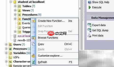 Maestro函数添加指南