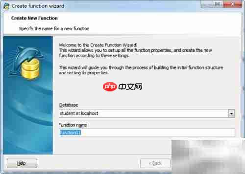 Maestro函数添加指南