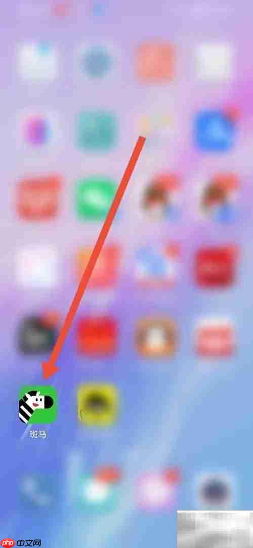 斑马优惠券使用指南