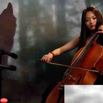 音乐家的养成之路