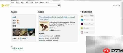 好用的翻译工具有哪些