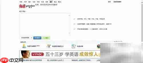 好用的翻译工具有哪些