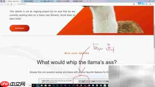 Winamp安装APE插件教程