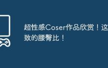 超性感Coser作品欣赏！这极致的腰臀比！