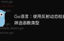 Go语言：使用反射动态检查并筛选函数类型