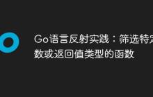 Go语言反射实践：筛选特定参数或返回值类型的函数