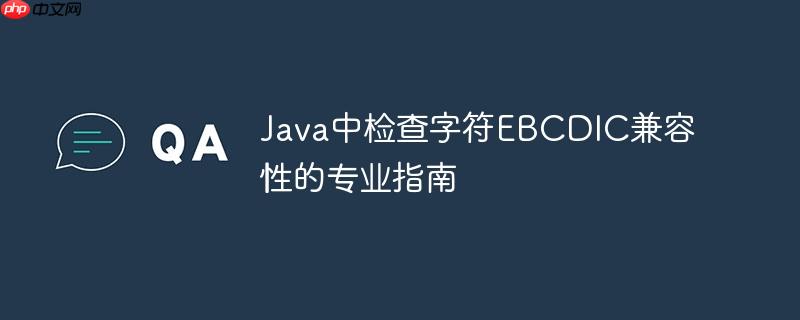 Java中检查字符EBCDIC兼容性的专业指南