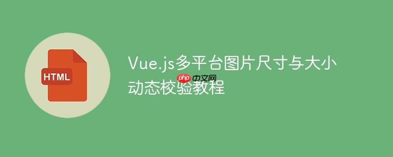 Vue.js多平台图片尺寸与大小动态校验教程